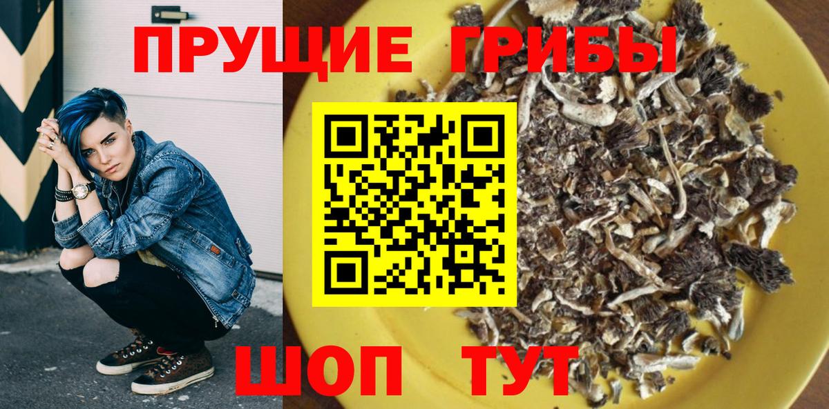 Галлюциногенные грибы Psilocybine cubensis Лесосибирск